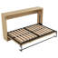 Lit escamotable avec lumière DEL, armoire pliable, peu encombrant, structure solide, finition naturelle