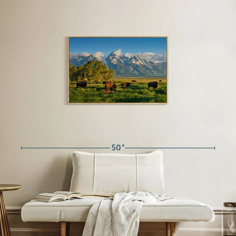 Bison de Grand Teton, Cadre flottant en bois naturel, 31 po x 21 po
