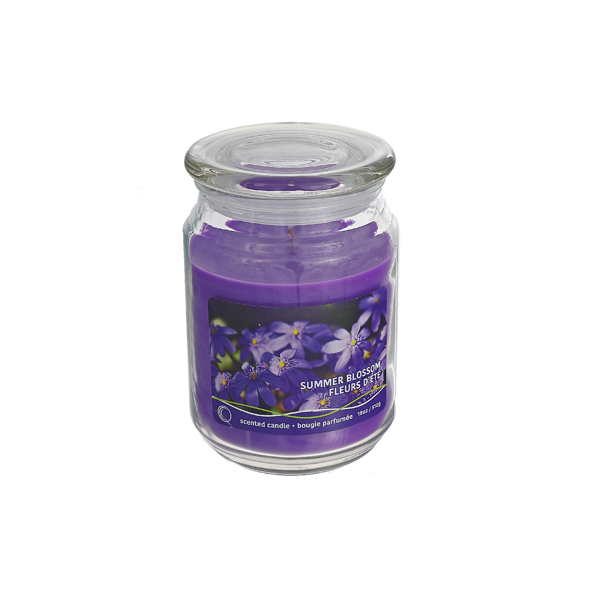 Blueberry Scented Jar Candle (Set of 2) IH casadécor