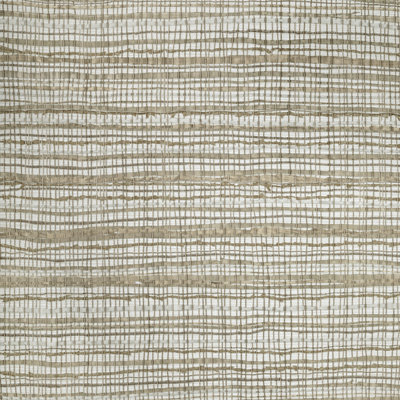 Salt Collection Fondo Wild Grass Effect 10.05m x 53cm Wallpaper Roll