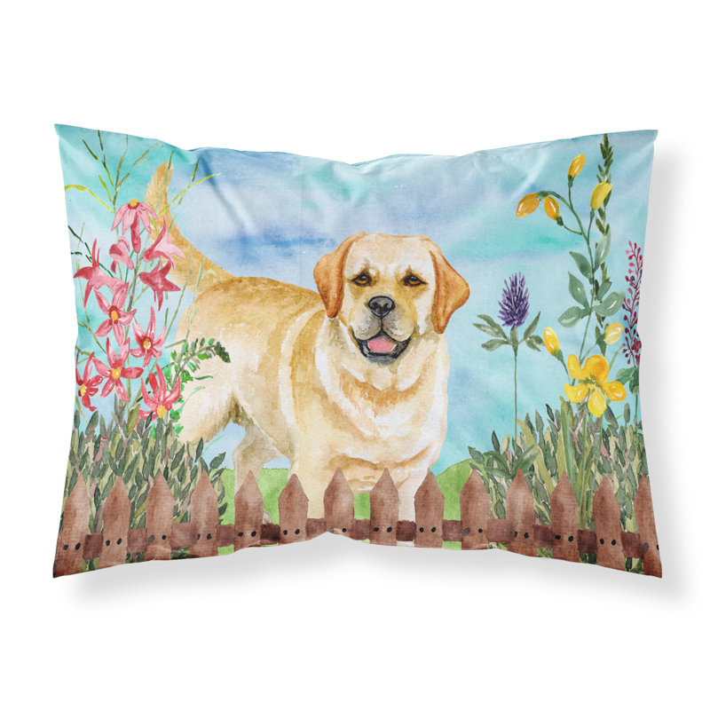 Alaskan Microfiber, Golden Retriever