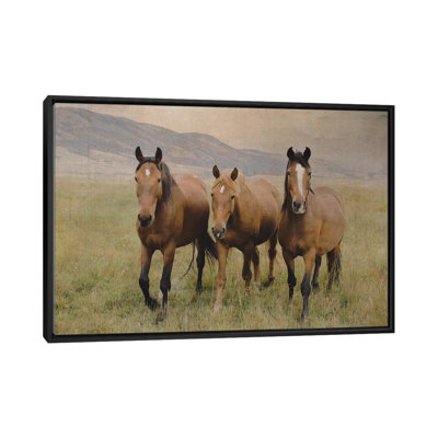 Three Friendly Mustangs by Rhonda Thompson - Floater Frame Gallery-Wrapped Canvas Giclée on Canvas