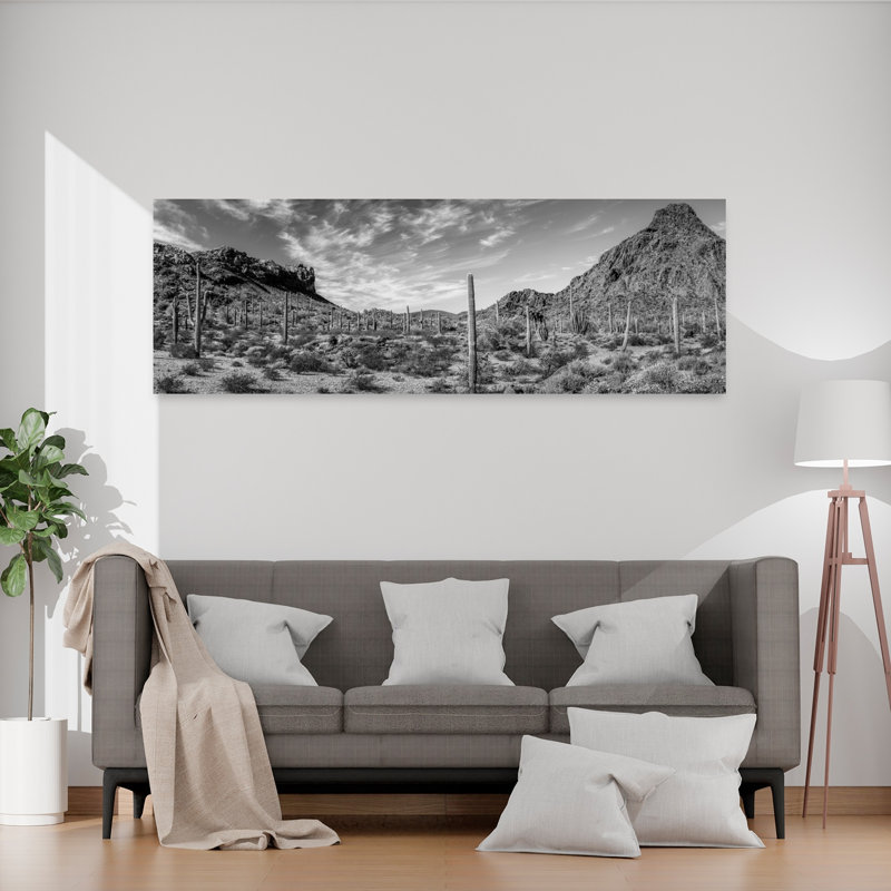 Various cactus plants in a desert Organ Pipe Cactus National Monument Arizona USA 1 Piece Wrapped Canvas Panoramic Wall Art