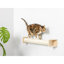 Grattoir mural en bois véritable