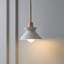Luminaire suspendu noir 1 lumière