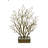 Dormant Tree with Wide Pot-24288640