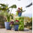 Dayton Traditional Recycled Plastic Indoor/Outdoor Planter with Attached Saucer-1656935271-1629948393
