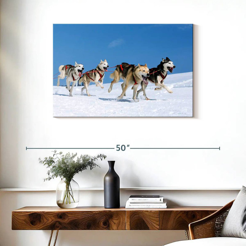 Chiens de traîneau Brampt Husky