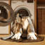  Tapis lavable pour chien de berger de race blanche-1413841538