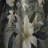 Neutral Zen Tropical Pattern - Floral Curtain - Velvet Room Darkening - 1 panel-107597966