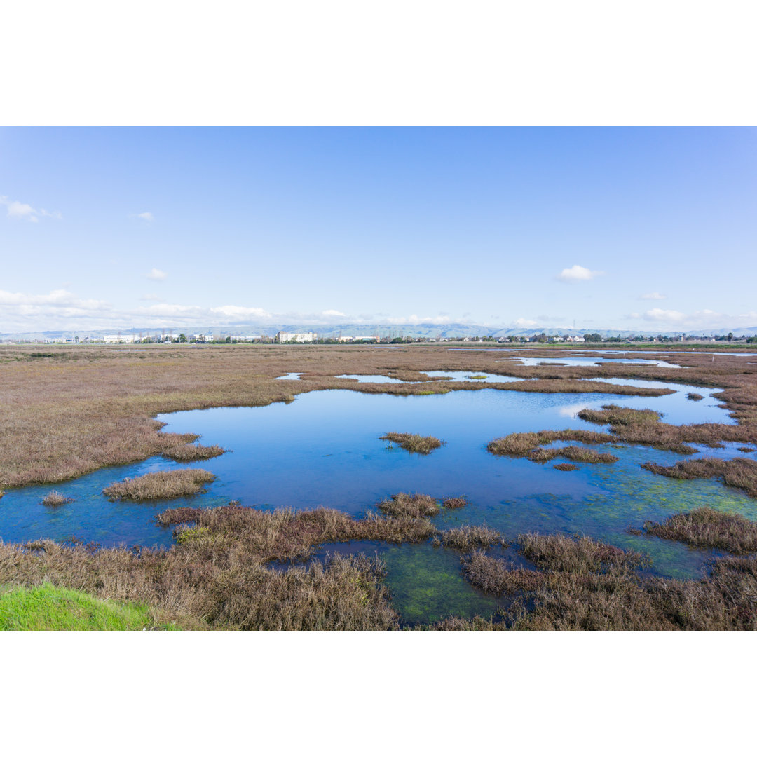 San Francisco Bay Area von Sundry - Leinwandfoto im Wickelformat