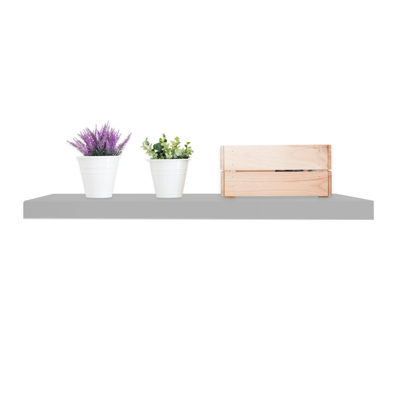 Plastic / Acrylic Floating Shelf, Gray, 3.80cm H x 60cm W x  23cm D