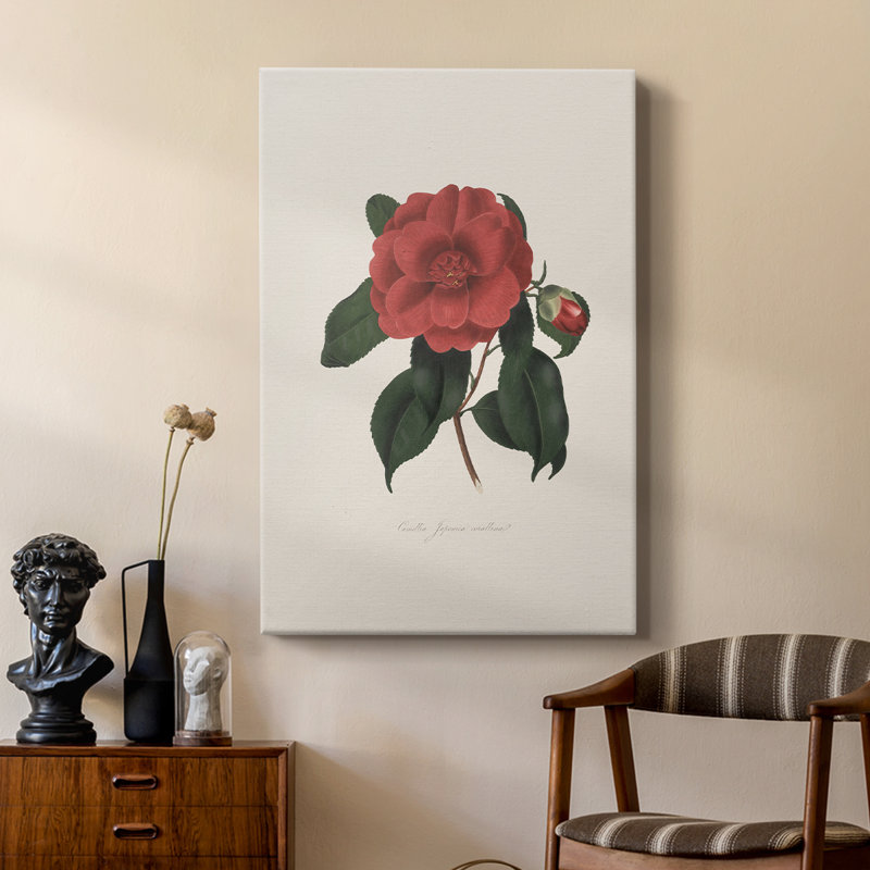 Imprimé floral rétro CXC III - galerie sur mesure, H 12 po x l 8 po