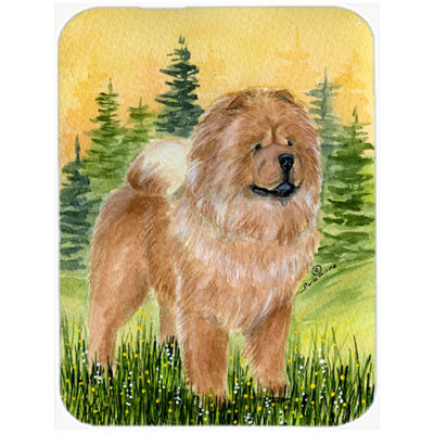 Chow-chow sur une planche à découper en verre