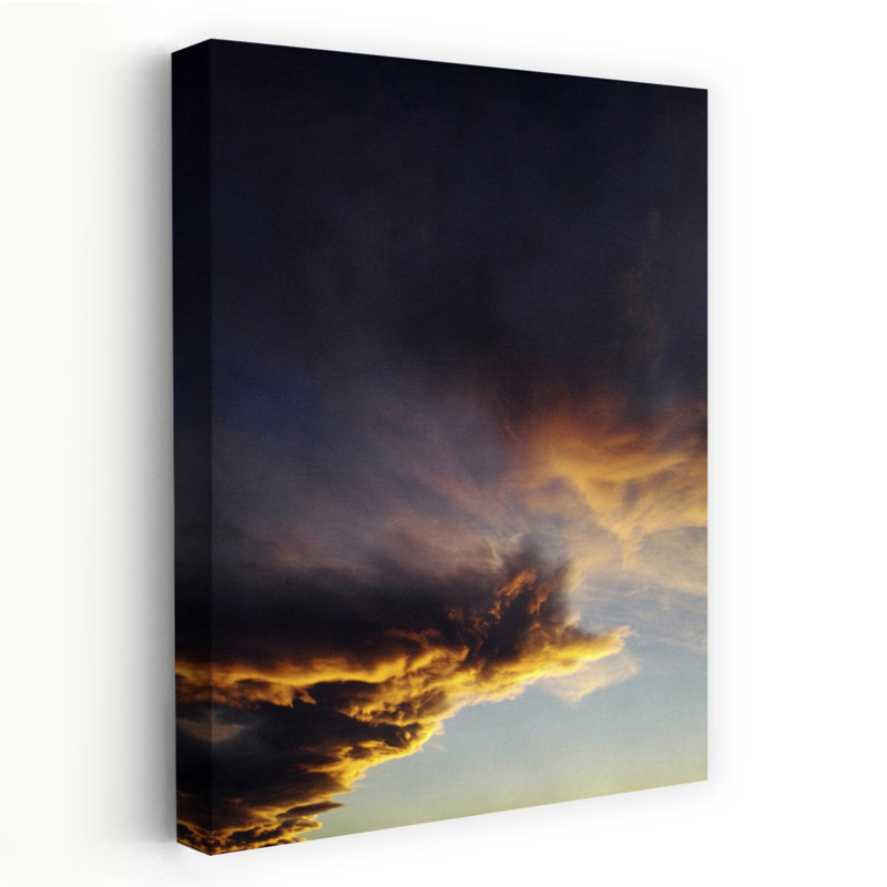 Contemporary Art Bold Dramatic Organic Nature Summer Wall Art by Angelo Cerantola - Wrapped Canvas Print