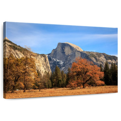 Feuillage d'automne Alvord Yosemite
