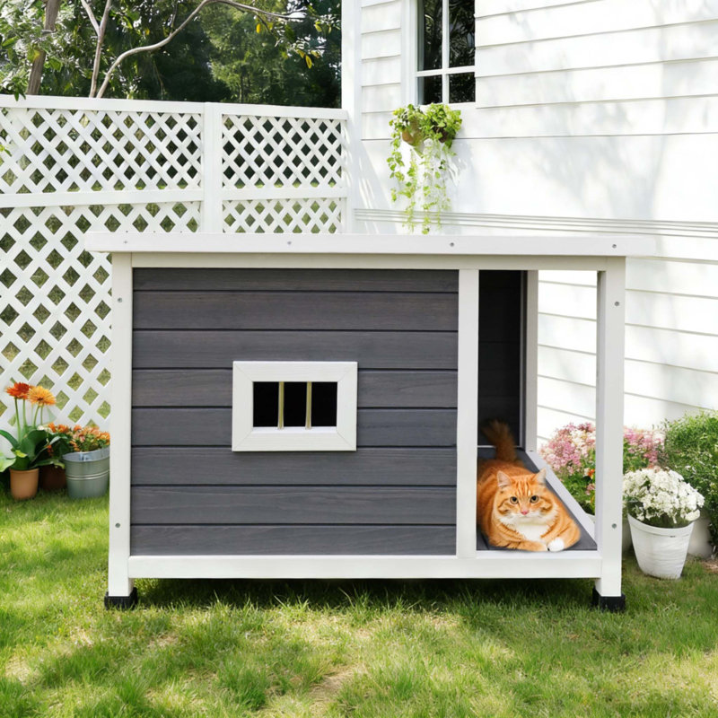 Maison d'extérieur pour chat avec toit imperméable
