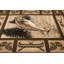 Tapis en polypropylène brun / crème Brad-87774504