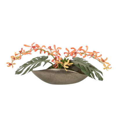 Coral Vanda Orchid in Pewter Curved Planter