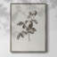 Impression florale vintage encadrée CECXV III - bois massif-1377226708