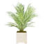 Akeyah Faux Palm Plant in Fiberstone Pot