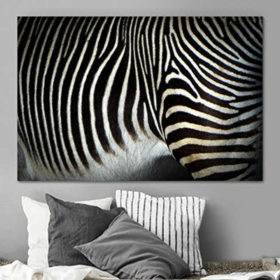 " Profile Of Zebra Stripes "