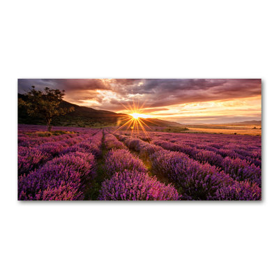Lavender Field - Wrapped Canvas Print