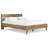 Deanlow Queen Platform Panel Bed-123385115
