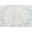 Tapis oriental crème unique 10X13 One-of-a-Kind