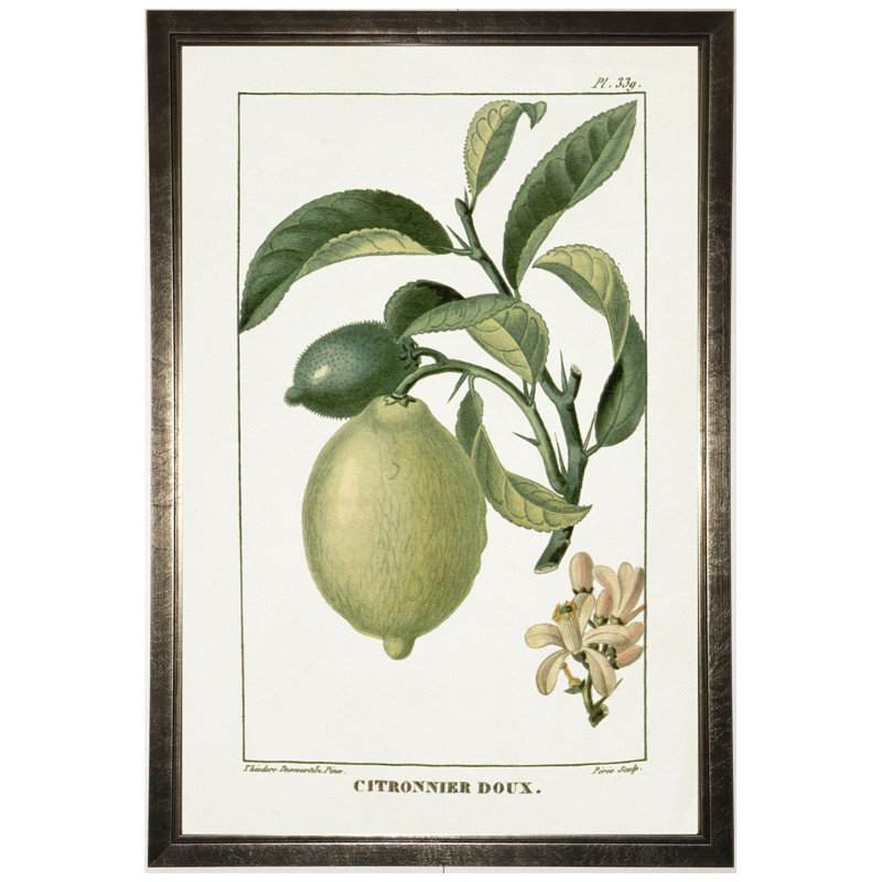 Citron vert dans un cadre argenté