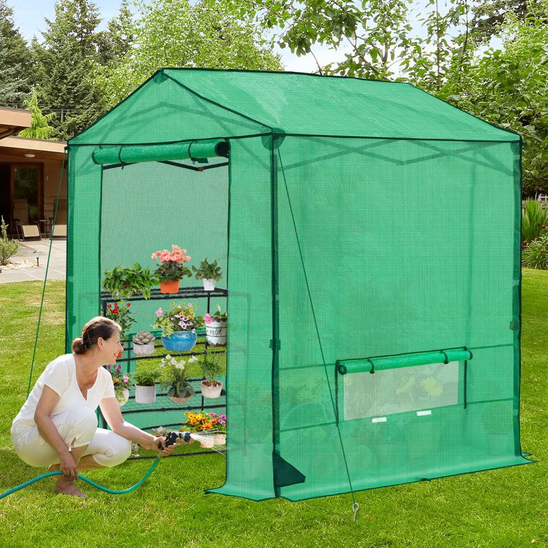 Serre de loisir 6 po x 6 po avec portes à glissière et fenêtres en filet, H 7,25 pi x l 6 pi x P 6 pi