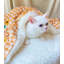 Couvertures pour chiens-99211496