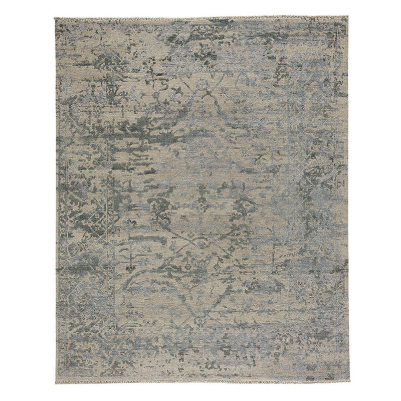 Jain Oriental Area Rug in Beige