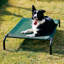 Mckittrick Brunswickchrome Green and Crystal 1-Light 5.5 in. Indoor/Outdoor Mid-Size Raised Camp Bed-515198000-515198005