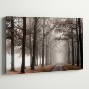 Andover Mills™ Misty Road On Canvas Print & Reviews | Wayfair
