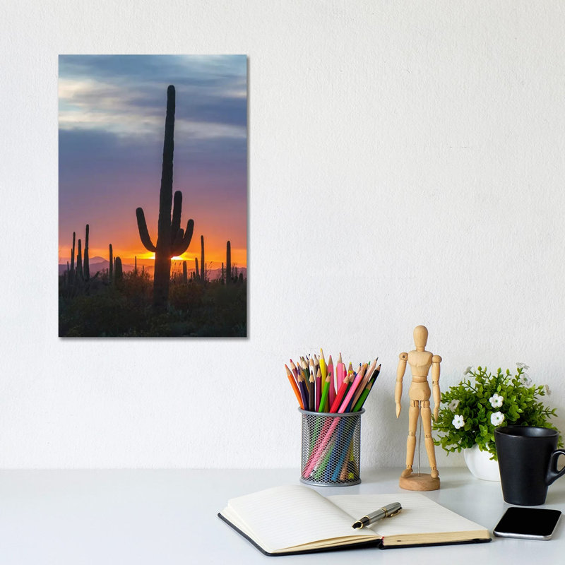 USA, Arizona, Saguaro National Park. Saguaro Cactus At Sunset. by Jaynes Gallery - Wrapped Canvas Gallery-Wrapped Canvas Giclée