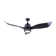 Wiltsie 52'' Ceiling Fan with LED Lights