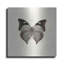 «Butterfly VII BW» par Debra Van Swearingen-967530006