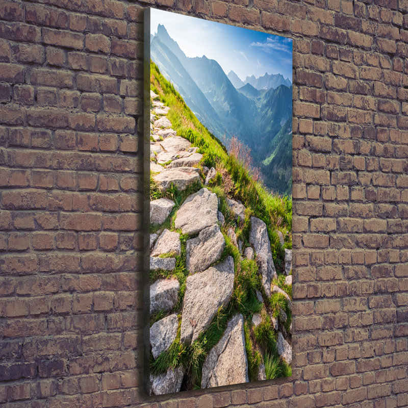 Mountain Trail - Wrapped Canvas Print