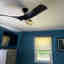 Customer photo 3 of 3