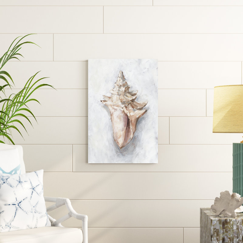 " White Shell Study I " by Ethan Harper Painting Print, 30" H x 20" W