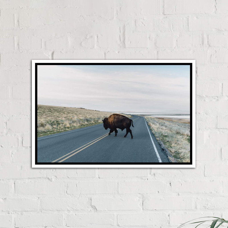 « buffalo bison » par chelsea victoria-impression, H 18 po x l 26 po x P 1,5 po, Toile blanche encadrée