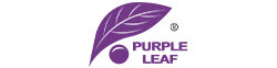 Purple Leaf Logo