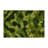 Nature Green Indoor and Outdoor Area Rug-88365143