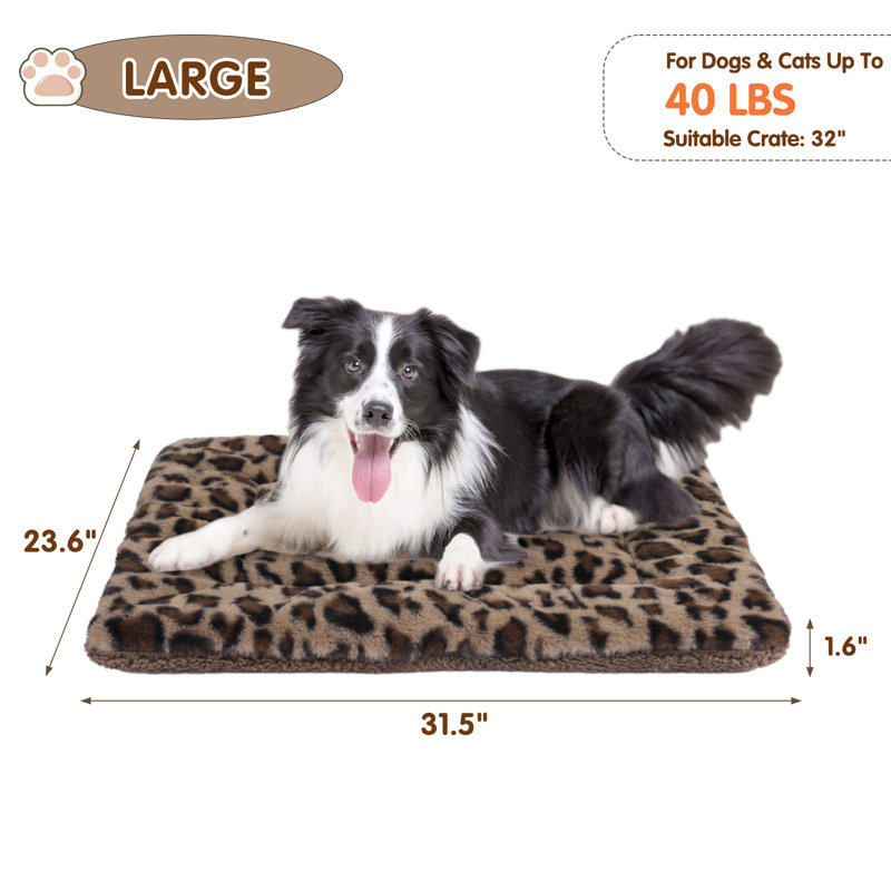 Tapis de caisse pour animal en peluche, Grand (l 31,5 po x P 23,6 po x H 1,57 po)