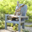 Statue de jardin lecture de lapin
