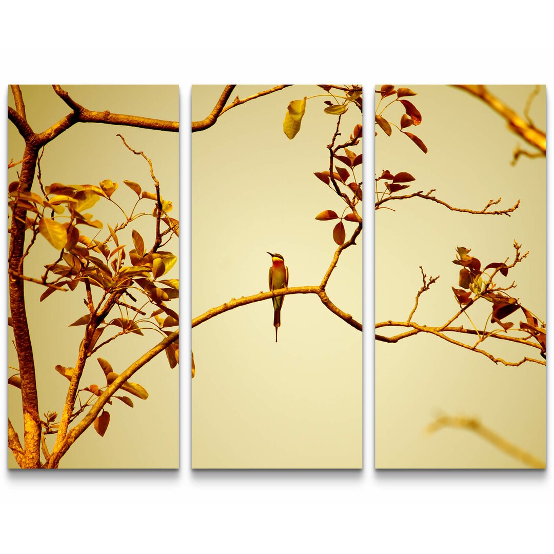 3-tlg.Â Leinwandbilder-SetÂ Vogel auf einem Ast bei Sonnenuntergang