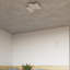 Carletta Flush Mounted Sconce