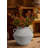 Rustic Ceramic Vase With 2 Handles-122451737