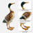 Cheikh Duck Weather Resistant Metal Garden Statue